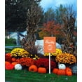 thumbnail image 2 of Aluminum Yard Stake Outdoor Fall Decor Rustic Garden Stake Autumn Yard Sign Give Thanks Lawn Ornaments for Porch Garden Home Patio Harvest Thanksgiving Halloween Decorations, 2 of 6