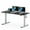 White, variant on FLEXISPOT 48"x30" Home Office Height Adjustable Standing Desk with Hooks, Ergonomic Electric 2-Stage Stand Up Computer Desk, Gray and White