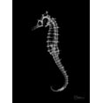 thumbnail image 2 of Koetsier, Albert 19x24 White Modern Wood Framed Museum Art Print Titled - Seahorse In The Dark, 2 of 4