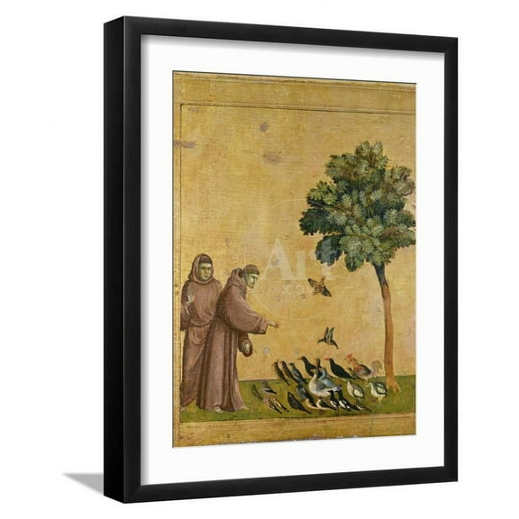 St Francis of Assisi Preaching to the Birds, Animals Religion Framed Art Print Wall Art by Giotto di Bondone Sold by Art.Com