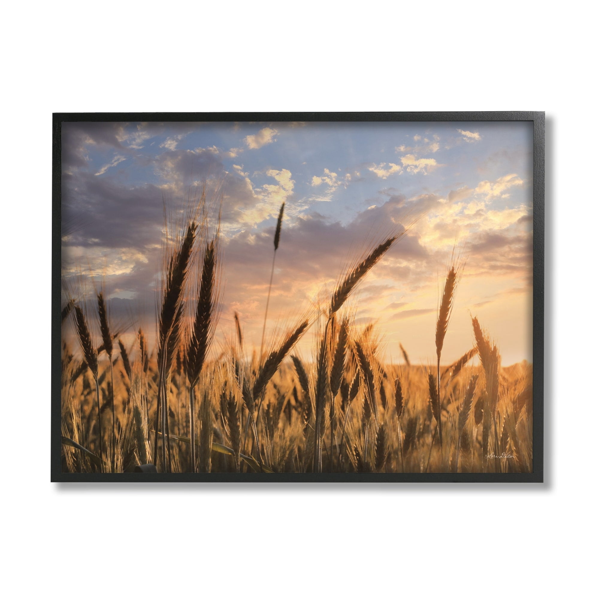 Stupell Industries Countryside Wheat Field Farmland Cloudy Sunset Sky, 20 x 16, Design by Lori Deiter