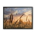 thumbnail image 2 of Stupell Industries Countryside Wheat Field Farmland Cloudy Sunset Sky, 20 x 16, Design by Lori Deiter, 2 of 5