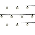 thumbnail image 6 of Mainstays 20-Count Indoor Outdoor Warm White LED G40 Globe Lights, with Black Wire, 6 of 7