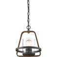 thumbnail image 2 of Designers Fountain Ryder Forged Black 1 Light Mini-Pendant, 93530-FB, 2 of 4