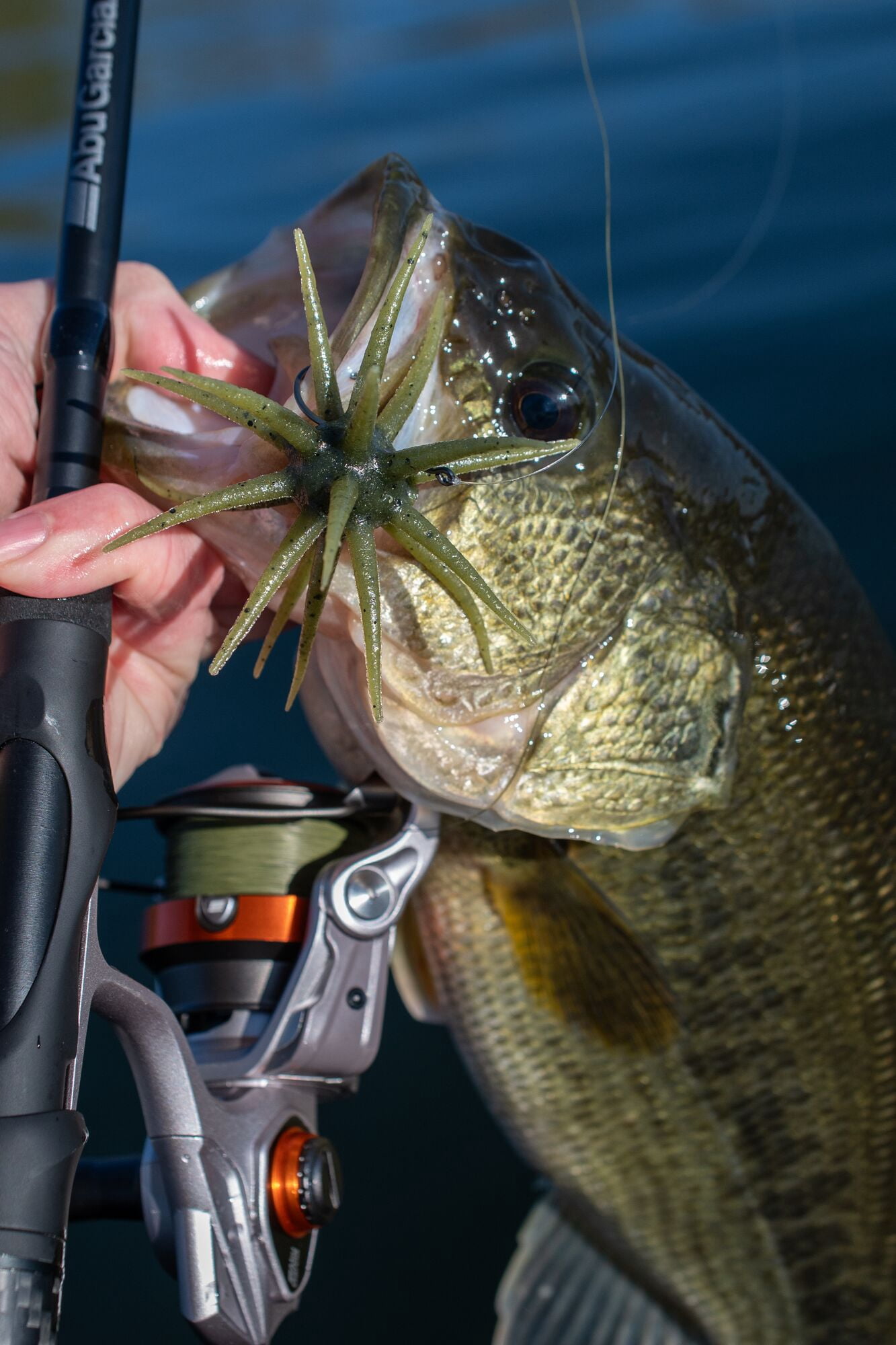 Berkley PowerBait® MaxScent 'Moeba, 3.5 in, Creatures, Green Pumpkin (1-count)