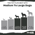 thumbnail image 4 of Juguete de Goma BARK Super Chewer Conejo para Perro, 4 of 8