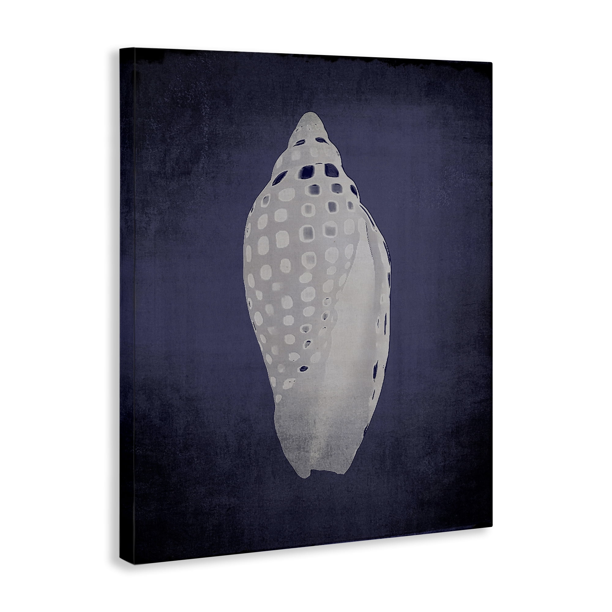 Stupell Industries Junonia on Indigo Nautical & Beach Painting Wrapped Canvas Art Print Wall Art, 24 x 30