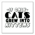 thumbnail image 1 of DistinctInk Custom Bumper Sticker - 4" x 4" Decorative Decal - White Background - If Only Cats Grew Into Kittens, 1 of 2
