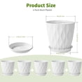thumbnail image 4 of 6 Pack 8 Inch Plant Pots , Plastic Flower Pots for Indoor & Outdoor Plants, Planters with Drainage Holes and Saucer (White), 4 of 6