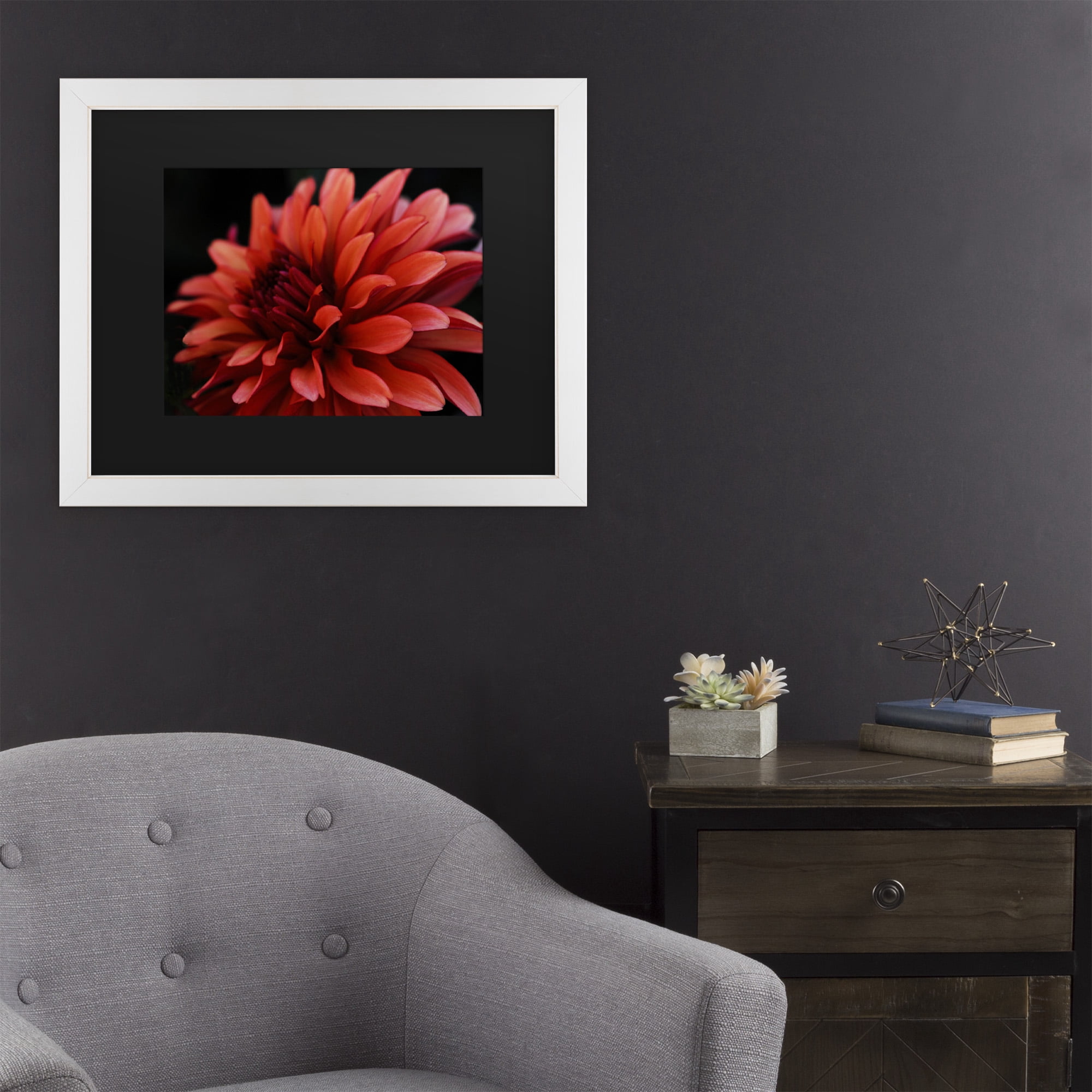 Trademark Fine Art 'Red Dahlia' Canvas Art by Kurt Shaffer