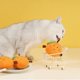 thumbnail image 4 of Juguetes para la dentición de perros, divertidos, interactivos, resistentes a las mordeduras, bonitos juguetes masticables con forma de naranja para perros, cachorros y gatos., 4 of 13