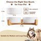 thumbnail image 2 of Juego de Comederos para Perros Xihan con Soporte de Madera y Tapete para Perros Medianos, 2 of 7