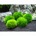 thumbnail image 3 of 10 Marimo Moss Balls 2.5 cm, Simulated Green Algae Ball, 3 of 5