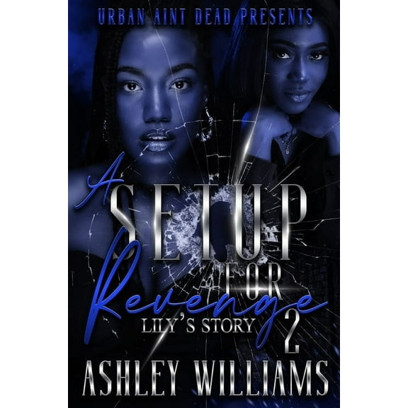 A Set Up For Revenge 2: Lily's Story, (Paperback)