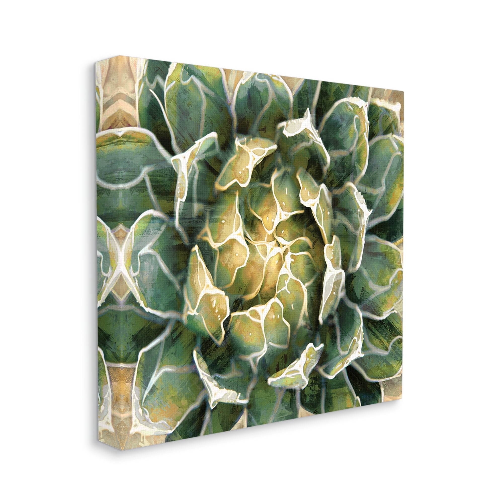 Stupell Industries Leafy Succulent Plant Nature Botanical & Floral Painting Gallery Wrapped Canvas Print Wall Art