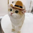 thumbnail image 5 of Perro Mascota Sombrero de Vaquero Gorro de Cosplay Mascota Perro Disfraz de Vacaciones Decoración de Fiesta para Mascotas, 5 of 5