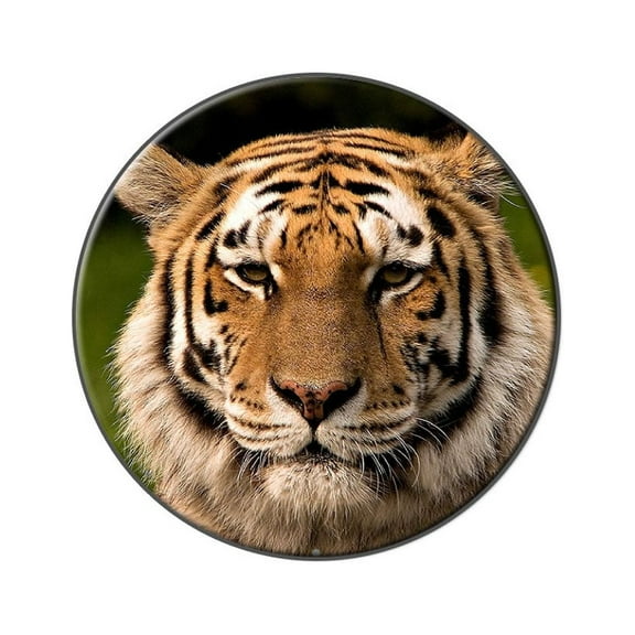 Bengal Tiger Face Lapel Hat Pin Tie Tack Large Round