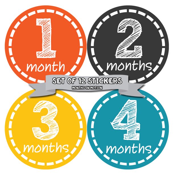 Months in Motion 149 Monthly Baby Stickers Milestone Age Sticker Photo ...