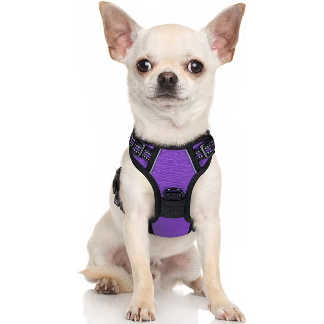 Rabbitgoo Arnés para Perros, Arnés para Mascotas sin Tirones con 2 Clips para Correa, Chaleco para Perros Acolchado Suave y Ajustable, Chaleco Oxford Reflectante para Mascotas sin asfixia con asa de f