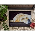 thumbnail image 3 of Carolines Treasures AMB1072MAT Naptime Yellow Labrador Indoor or Outdoor Mat, 18 x 27, 3 of 4