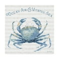 thumbnail image 5 of Trademark Fine Art Animals Canvas Art ' Nautical Life X ' by Lisa Audit, 5 of 5