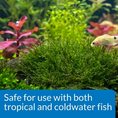 API Root Tabs Freshwater Aquarium Plant Fertilizer, 10 Tablets Per Box