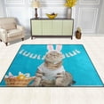 thumbnail image 3 of Coolnut Lightweight Soft Area Rugs, 80 x 58 inch（6'8" x 4'10"） Funny Easter Bunny Cat Floor Mat for Kids Playing Room Hardwood Floor Living Room Nursery Rugs, 3 of 6