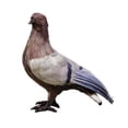 thumbnail image 2 of Modelo de paloma de simulación, figura de Paloma artesanal, juguete de pájaro hecho a mano, estatua de Animal realista para fotografía, accesorios lig, 2 of 8