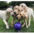 thumbnail image 2 of Jolly Pets Romp-N-Roll Ball, 2 of 7