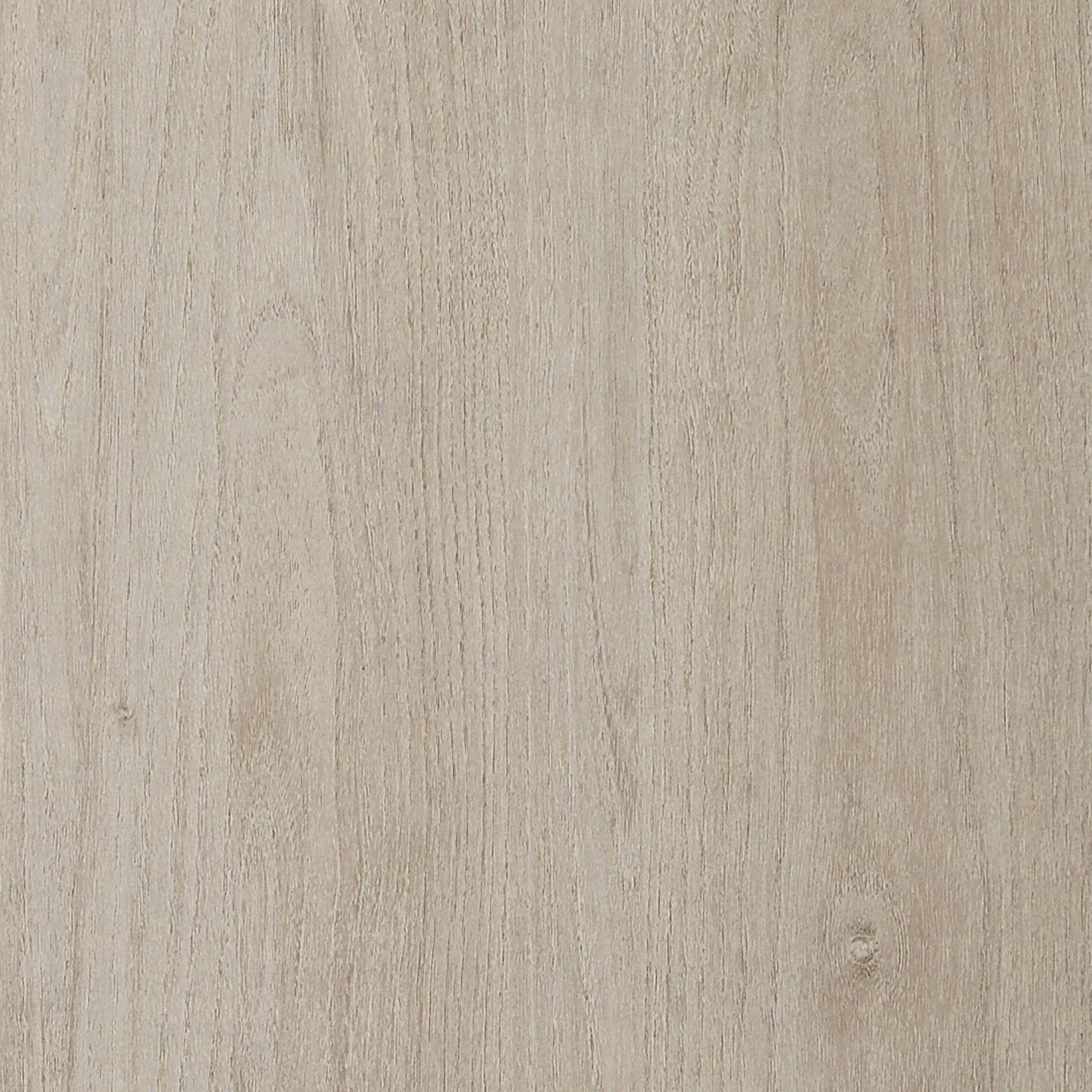 Evelyn&Zoe Modern/Contemporary 28" Wide Alder White Accent Cabinet