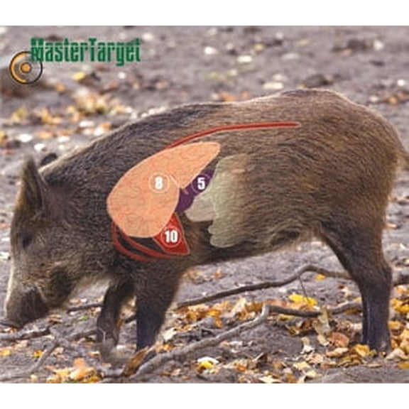 "Waterproof – Full-Color Hog Targets – 2 Pack"