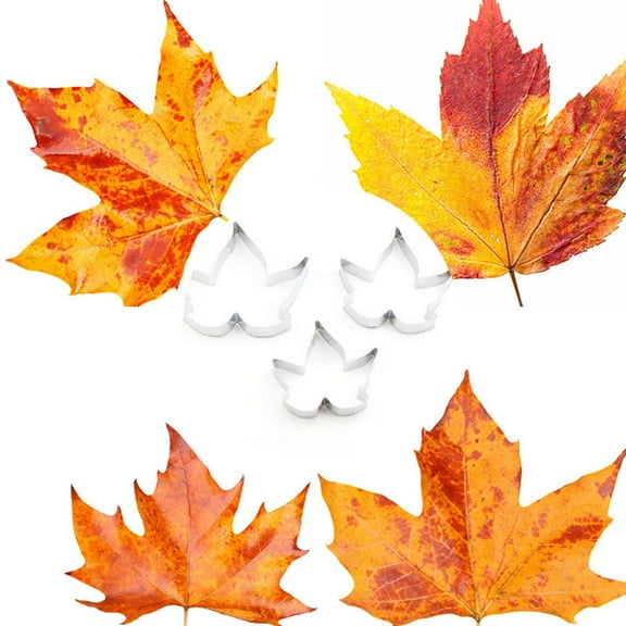 Worgeous 3pcs Maple Leaf Stainless Steel Fondant Cookie Cutter Set Fruit Cake Molds Biscuit Baking Tools