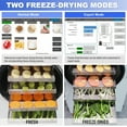 thumbnail image 3 of ZZKD 0.46㎡ Freeze Dryer -60℃（-76°F） Scientific Freeze Dryer Machine With Rotary Vane Vacuum Pump Food Dehydrator, 3 of 10