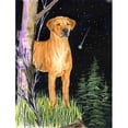 thumbnail image 1 of Carolines Treasures SS8479GF Starry Night Rhodesian Ridgeback Flag - Garden Size- 11 x 15 in., 1 of 3