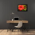 thumbnail image 4 of Spears, Don 24x17 Black Modern Framed Museum Art Print Titled - Red Hibiscus, 4 of 5