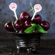 thumbnail image 3 of Juego de 8 palillos de comida de animales para niños, bonitos palillos de comida para gatos, palillos de bento de frutas, palillos de dientes para niños pequeños, decoración de loncheras, 3 of 7