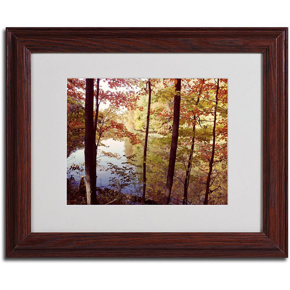 Trademark Art 'A Secret Pond' Framed Matted Art by Kurt Shaffer