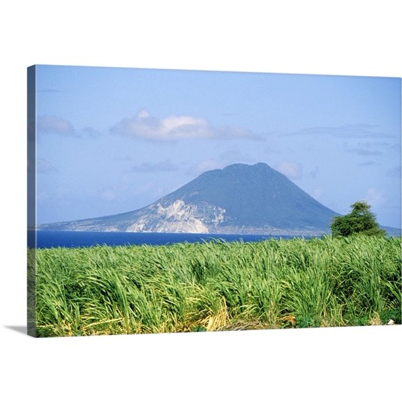 Great BIG Canvas | "Caribbean, St. Kitts. Sugar Cane fields" Canvas Wall Art - 24x16