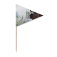 thumbnail image 1 of Animal Gray Thin Cat Photograph Toothpick Triangle Cupcake Toppers Flag, 1 of 3