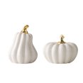 thumbnail image 7 of DVKOVI White Ceramic Pumpkin Decorations Halloween Thanksgiving Pumpkins Decor for Farmhouse Table Centerpiece B One Size, 7 of 7