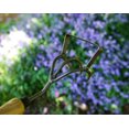 thumbnail image 4 of Tierra Garden - DeWit Culti-Weeder with Long Handle, 4 of 4