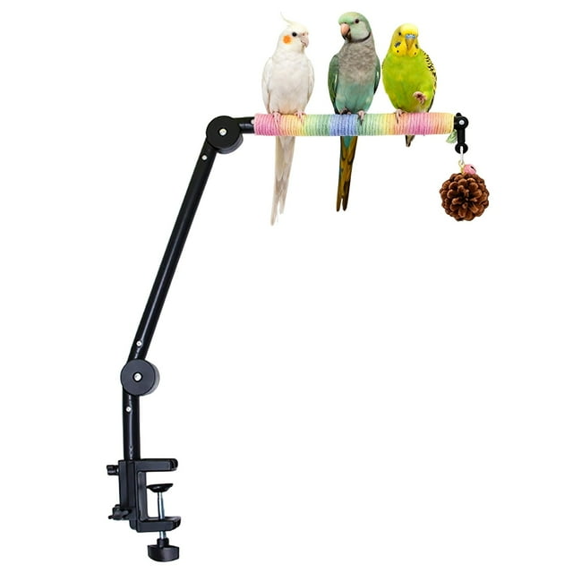zhangmingg Parrot Activity Play Stand Interactive Desktop Toy for Small Pet Birds