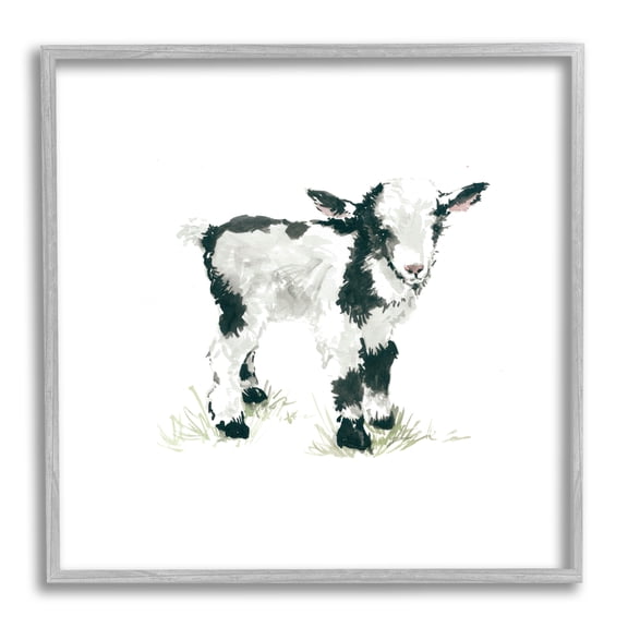 Baby Farm Lamb Minimal Country Animal over White Animals & Insects Framed Art Print Wall Art, 17x17