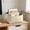 Beige #2, variant on GUUDIE Canvas Handbag Organizers | Multi-pocket Organizer Insert Bag | Portable Liner Pouch for Desk Organizers, Purses, And Daily Essentials