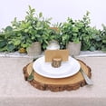 thumbnail image 5 of 2 mini plantas en maceta de imitación, plantas de boj de eucalipto artificiales en macetas, arreglo de vegetación falsa para mesa de interior de granja rústica, 5 of 5