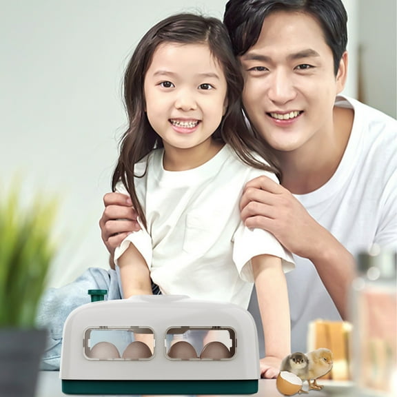 SSZMDLB under $5 Egg Incubator, Poultry Hatcher with Temperature Humidity Control, 8 Egg Capacity Incubate, Chickens Ducks Quail Birds Hatching Machine