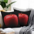 thumbnail image 2 of Red Fruit Outdoor Pillow Covers Pack of 2 Real Black Background Waterproof Throw Pillow Covers Decorative Cushion Cases for Patio Garden Tent Balcony Couch 20x20 inch, 2 of 8