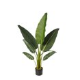 thumbnail image 1 of Artificial Potted Traveler's Tree - Avy, 1 of 6