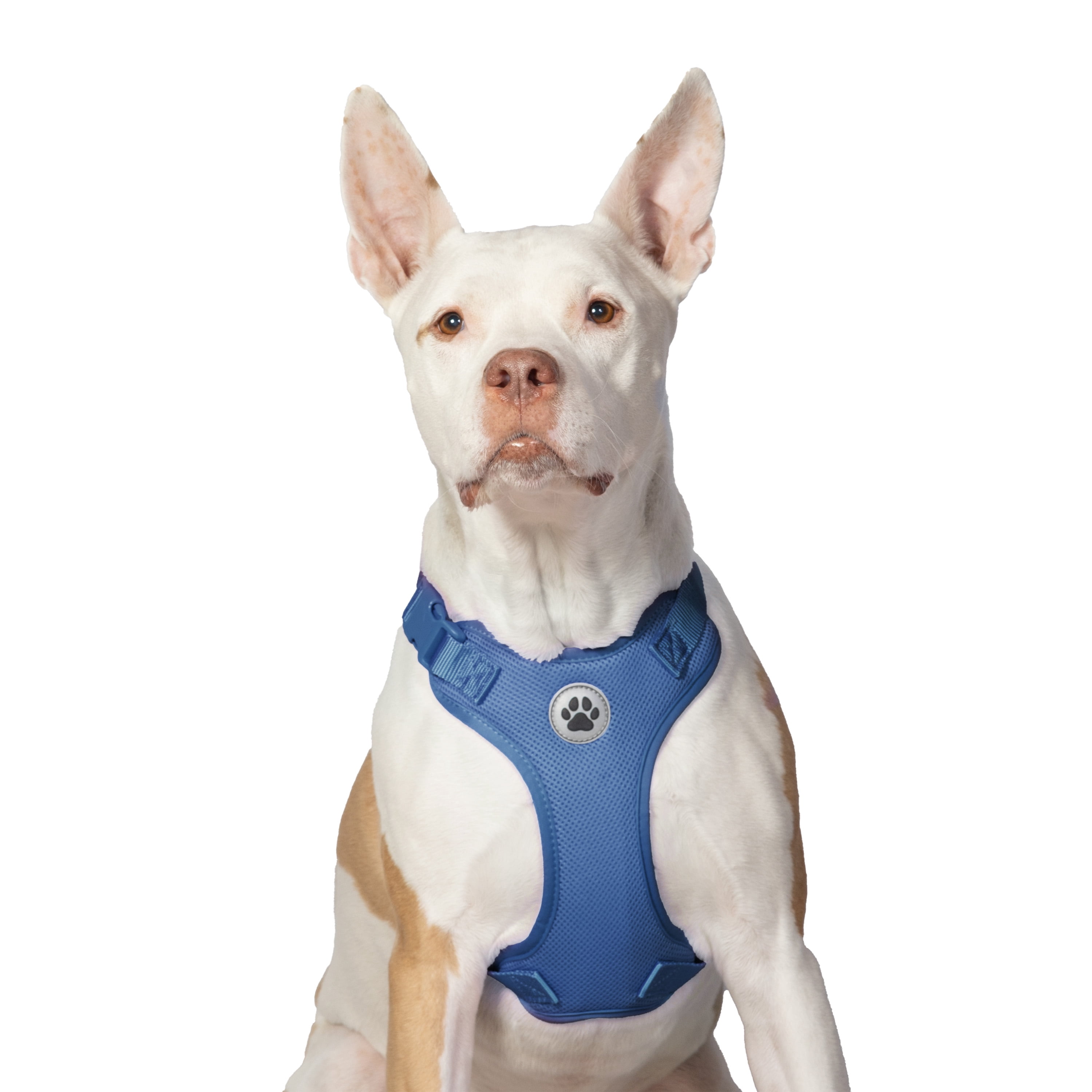 Vibrant Life Polyester Mesh Adjustable and Reflective Dog Walking Harness, Blue, L