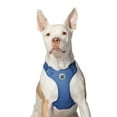 thumbnail image 2 of Vibrant Life Polyester Mesh Adjustable and Reflective Dog Walking Harness, Blue, L, 2 of 9
